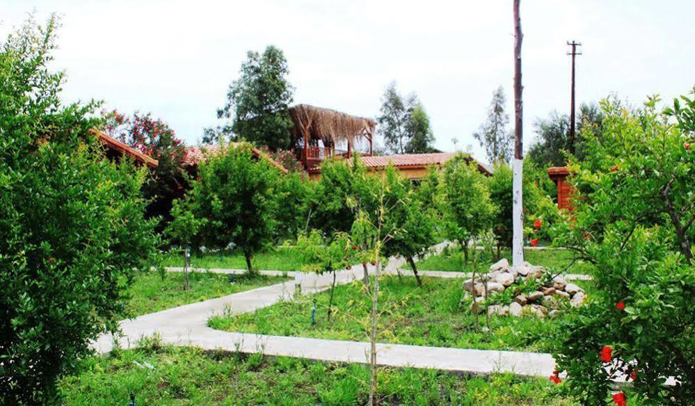 Çıralı Villa Iz מראה חיצוני תמונה